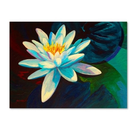 Marion Rose 'White Lily' Canvas Art,14x19